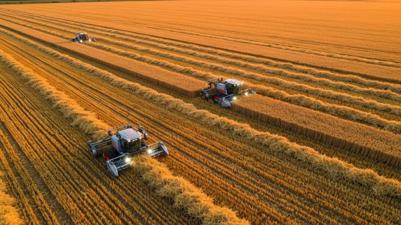 Robots dans l'agriculture : modernisation des récoltes